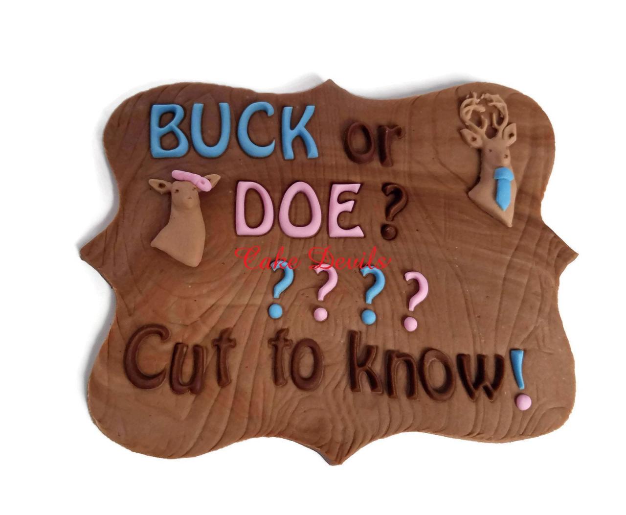 Buck Or Doe Gender Reveal Fondant Cake Topper, Gender Reveal Ideas, Deer Themed Baby Fondant Plaque, Handmade Edible Cake Decorations